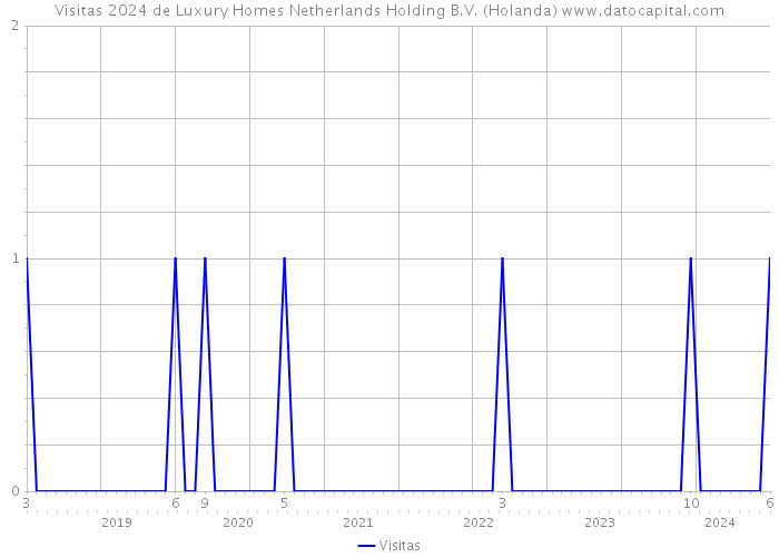 Visitas 2024 de Luxury Homes Netherlands Holding B.V. (Holanda) 