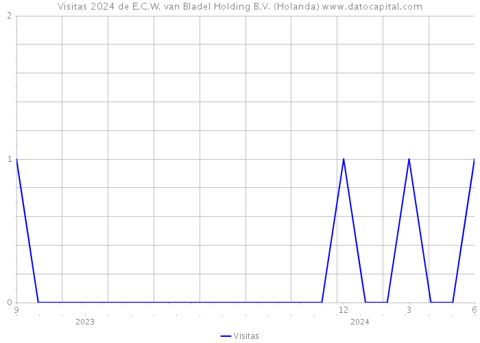 Visitas 2024 de E.C.W. van Bladel Holding B.V. (Holanda) 