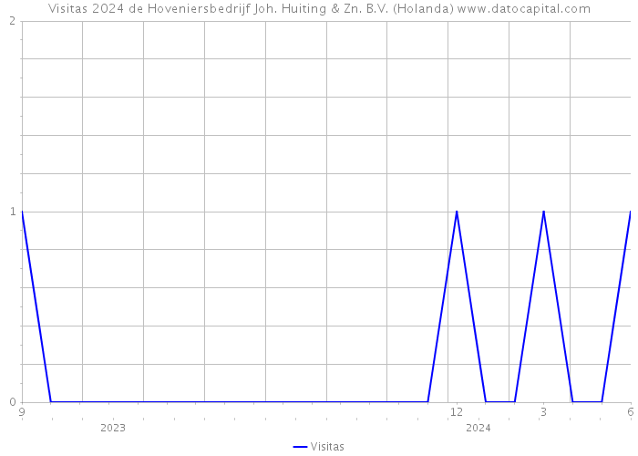 Visitas 2024 de Hoveniersbedrijf Joh. Huiting & Zn. B.V. (Holanda) 