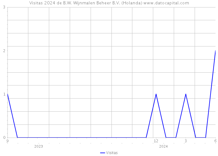 Visitas 2024 de B.W. Wijnmalen Beheer B.V. (Holanda) 