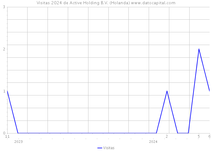 Visitas 2024 de Active Holding B.V. (Holanda) 