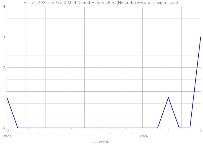 Visitas 2024 de Bed & Med Dental Holding B.V. (Holanda) 