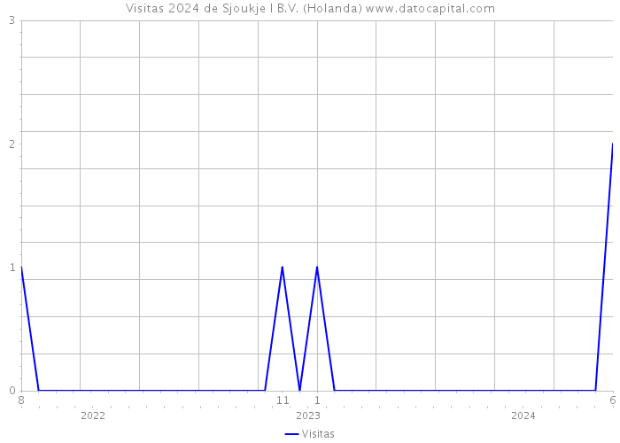 Visitas 2024 de Sjoukje I B.V. (Holanda) 