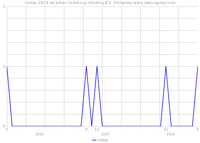 Visitas 2024 de Johan Vellekoop Holding B.V. (Holanda) 