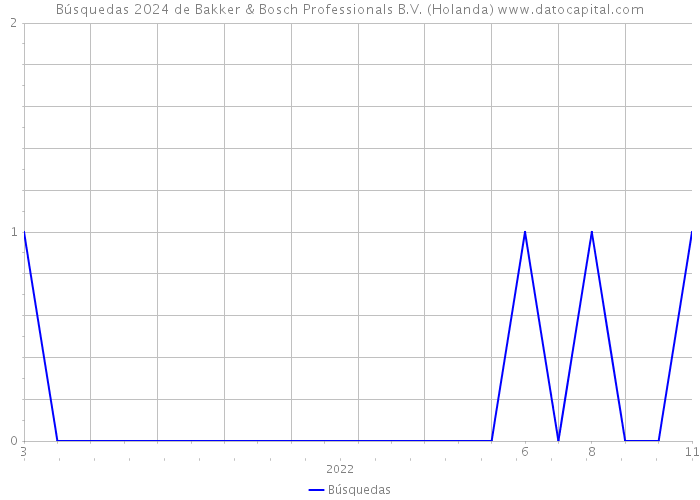 Búsquedas 2024 de Bakker & Bosch Professionals B.V. (Holanda) 