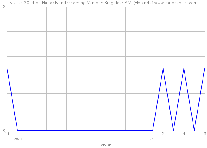 Visitas 2024 de Handelsonderneming Van den Biggelaar B.V. (Holanda) 