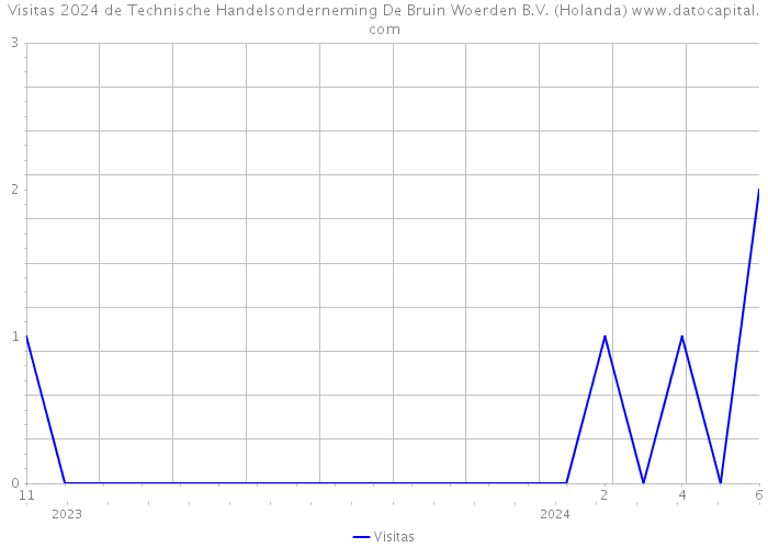 Visitas 2024 de Technische Handelsonderneming De Bruin Woerden B.V. (Holanda) 