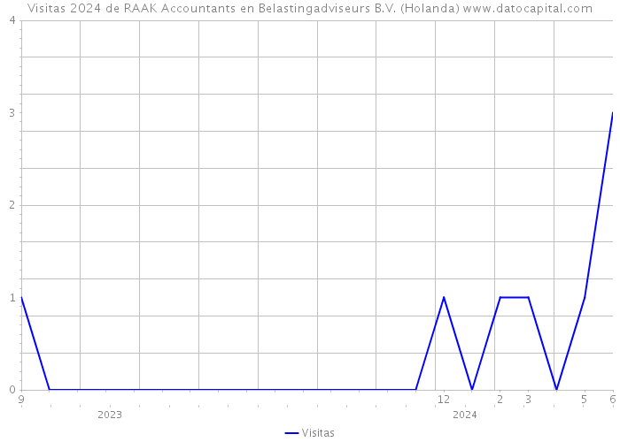 Visitas 2024 de RAAK Accountants en Belastingadviseurs B.V. (Holanda) 