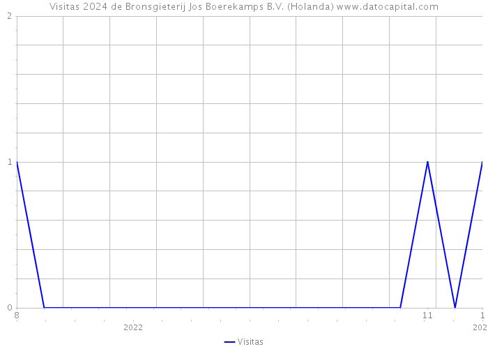 Visitas 2024 de Bronsgieterij Jos Boerekamps B.V. (Holanda) 