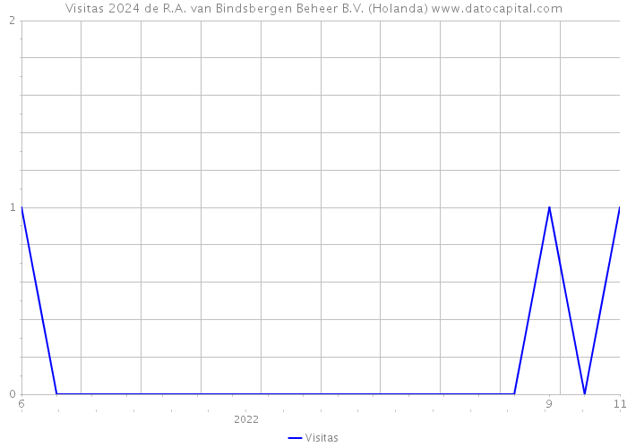 Visitas 2024 de R.A. van Bindsbergen Beheer B.V. (Holanda) 