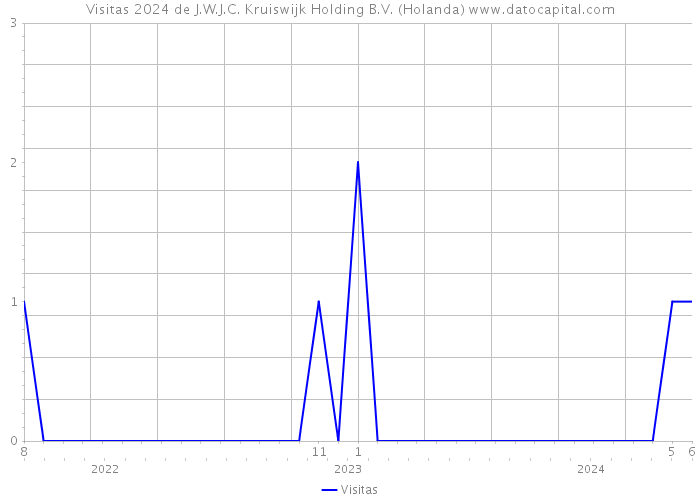 Visitas 2024 de J.W.J.C. Kruiswijk Holding B.V. (Holanda) 