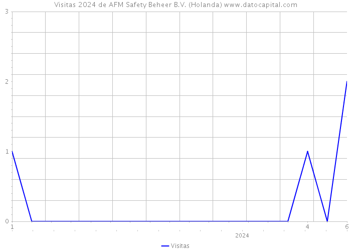 Visitas 2024 de AFM Safety Beheer B.V. (Holanda) 