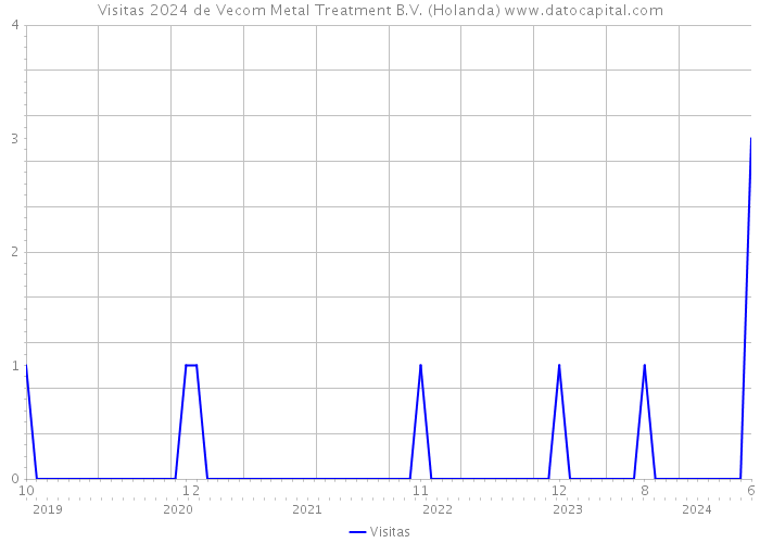 Visitas 2024 de Vecom Metal Treatment B.V. (Holanda) 