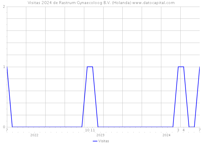 Visitas 2024 de Rastrum Gynaecoloog B.V. (Holanda) 