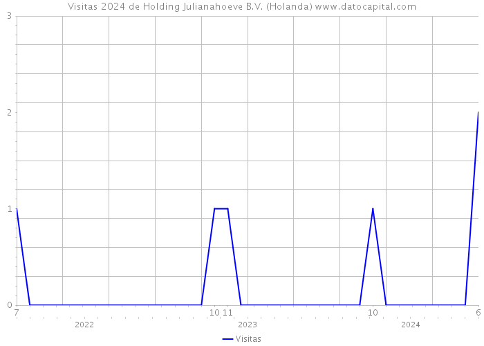 Visitas 2024 de Holding Julianahoeve B.V. (Holanda) 