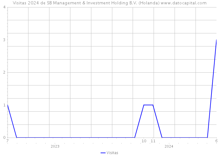 Visitas 2024 de SB Management & Investment Holding B.V. (Holanda) 