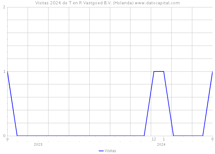 Visitas 2024 de T en R Vastgoed B.V. (Holanda) 