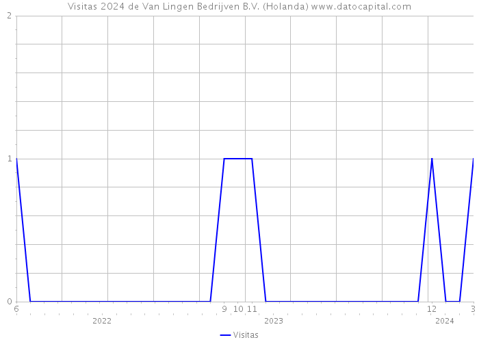 Visitas 2024 de Van Lingen Bedrijven B.V. (Holanda) 