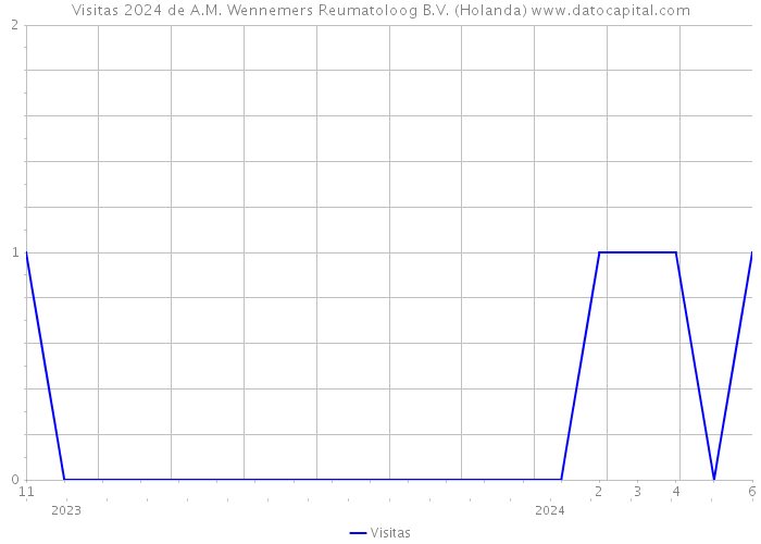 Visitas 2024 de A.M. Wennemers Reumatoloog B.V. (Holanda) 