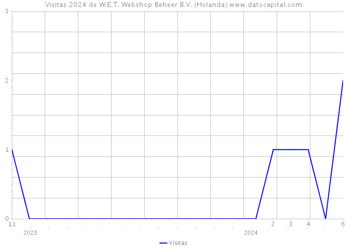 Visitas 2024 de W.E.T. Webshop Beheer B.V. (Holanda) 