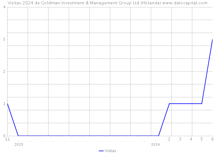 Visitas 2024 de Goldman Investment & Management Group Ltd (Holanda) 