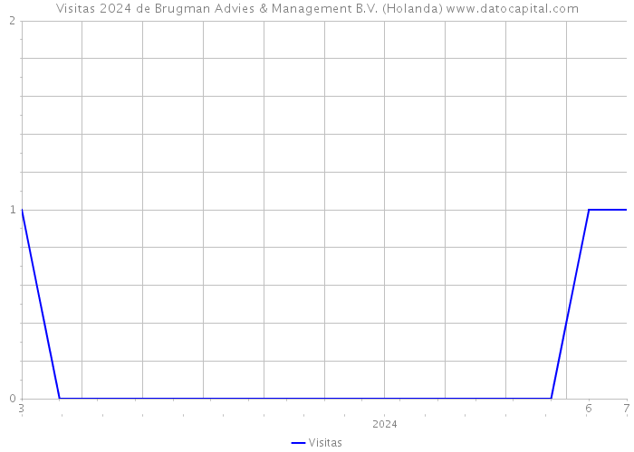 Visitas 2024 de Brugman Advies & Management B.V. (Holanda) 