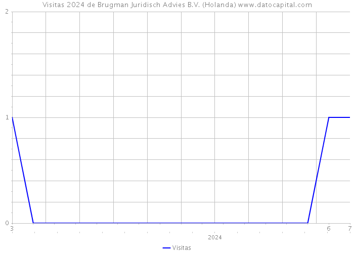 Visitas 2024 de Brugman Juridisch Advies B.V. (Holanda) 