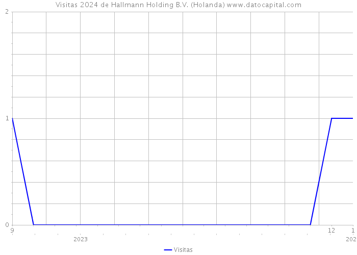Visitas 2024 de Hallmann Holding B.V. (Holanda) 
