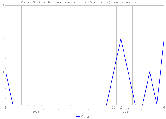 Visitas 2024 de Net1 Indonesia Holdings B.V. (Holanda) 