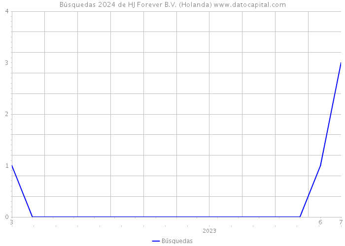 Búsquedas 2024 de HJ Forever B.V. (Holanda) 