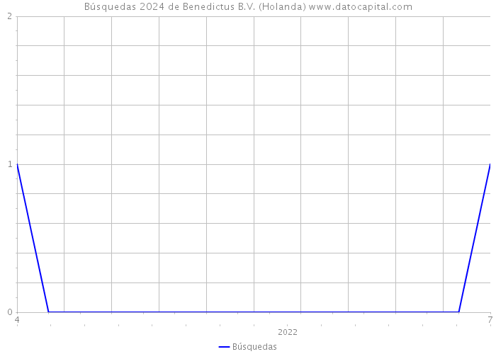 Búsquedas 2024 de Benedictus B.V. (Holanda) 