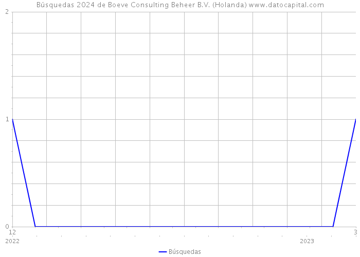 Búsquedas 2024 de Boeve Consulting Beheer B.V. (Holanda) 
