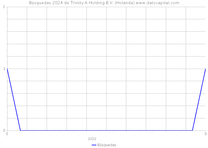 Búsquedas 2024 de Trinity A Holding B.V. (Holanda) 