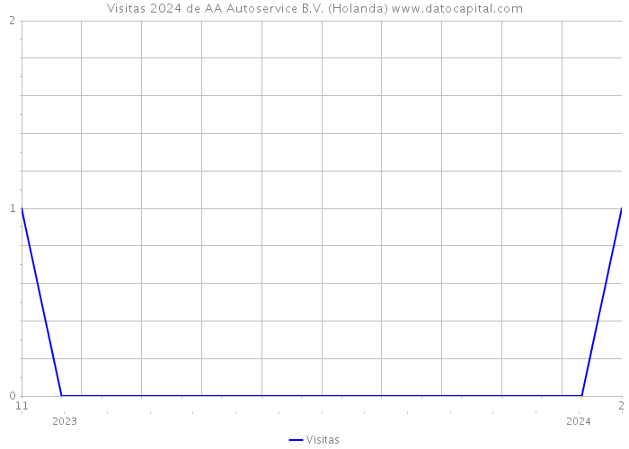 Visitas 2024 de AA Autoservice B.V. (Holanda) 