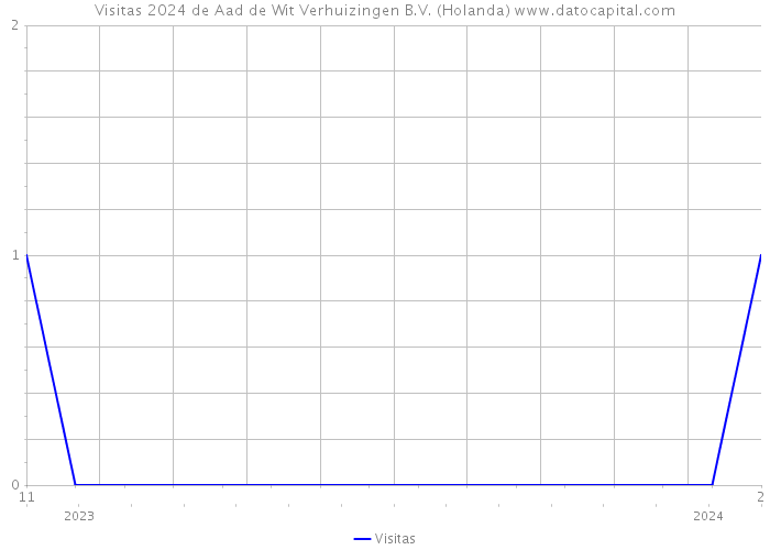 Visitas 2024 de Aad de Wit Verhuizingen B.V. (Holanda) 