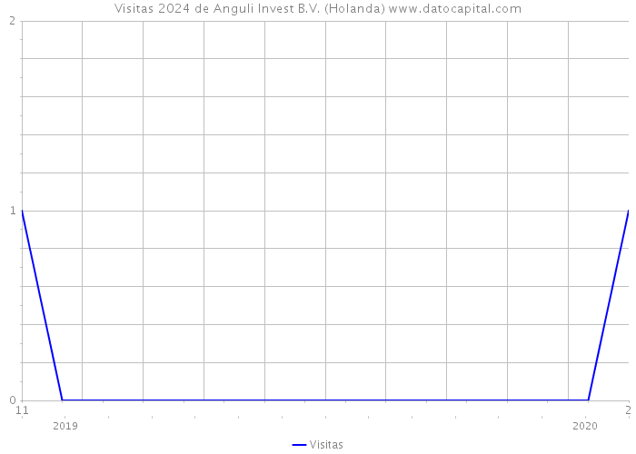 Visitas 2024 de Anguli Invest B.V. (Holanda) 