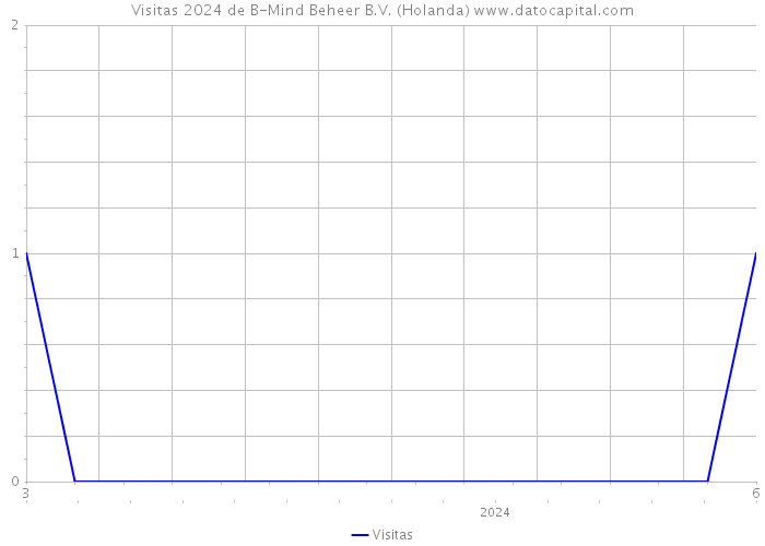 Visitas 2024 de B-Mind Beheer B.V. (Holanda) 