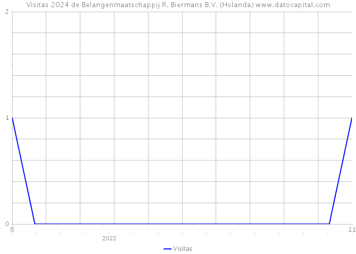 Visitas 2024 de Belangenmaatschappij R. Biermans B.V. (Holanda) 