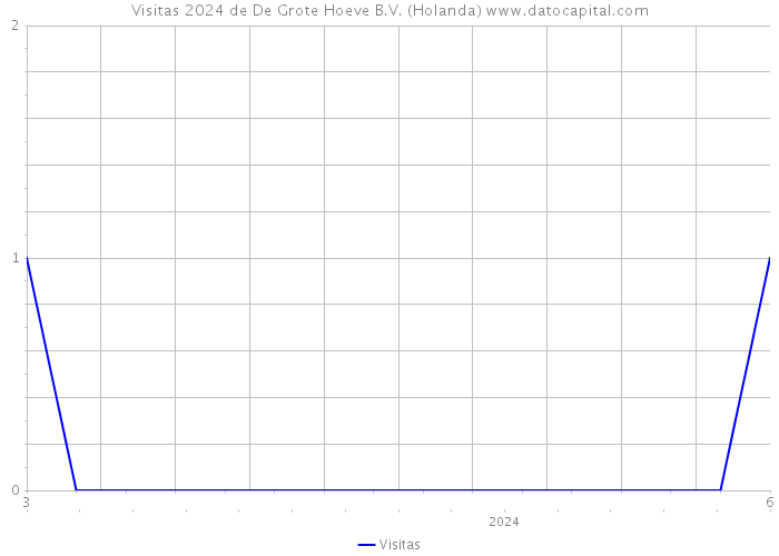 Visitas 2024 de De Grote Hoeve B.V. (Holanda) 