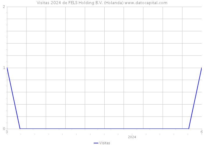 Visitas 2024 de FELS Holding B.V. (Holanda) 