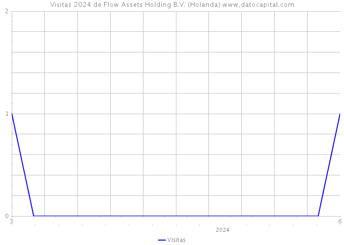 Visitas 2024 de Flow Assets Holding B.V. (Holanda) 