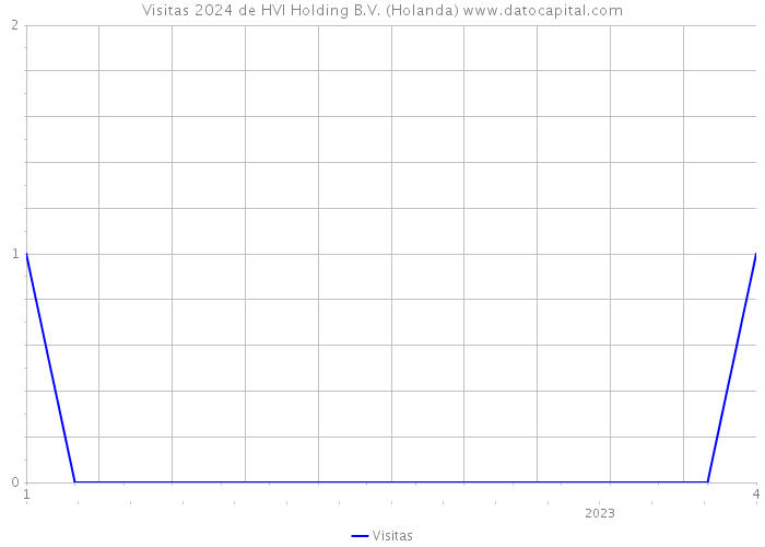 Visitas 2024 de HVI Holding B.V. (Holanda) 