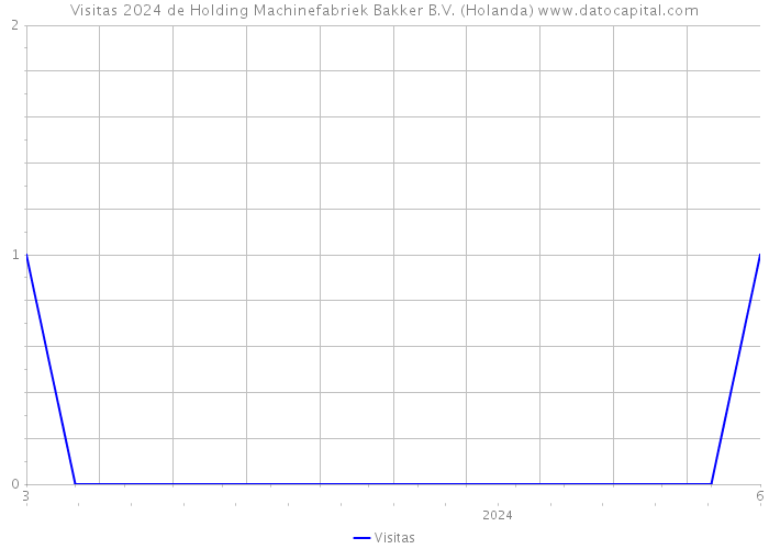 Visitas 2024 de Holding Machinefabriek Bakker B.V. (Holanda) 
