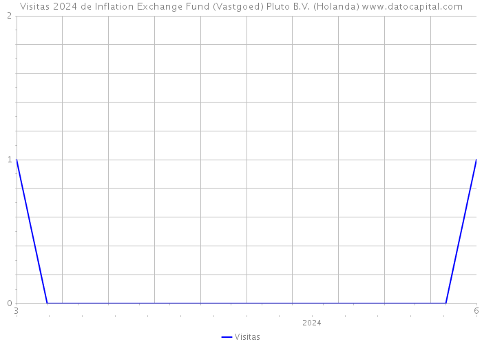 Visitas 2024 de Inflation Exchange Fund (Vastgoed) Pluto B.V. (Holanda) 