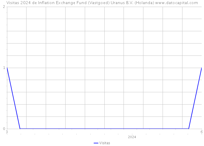Visitas 2024 de Inflation Exchange Fund (Vastgoed) Uranus B.V. (Holanda) 