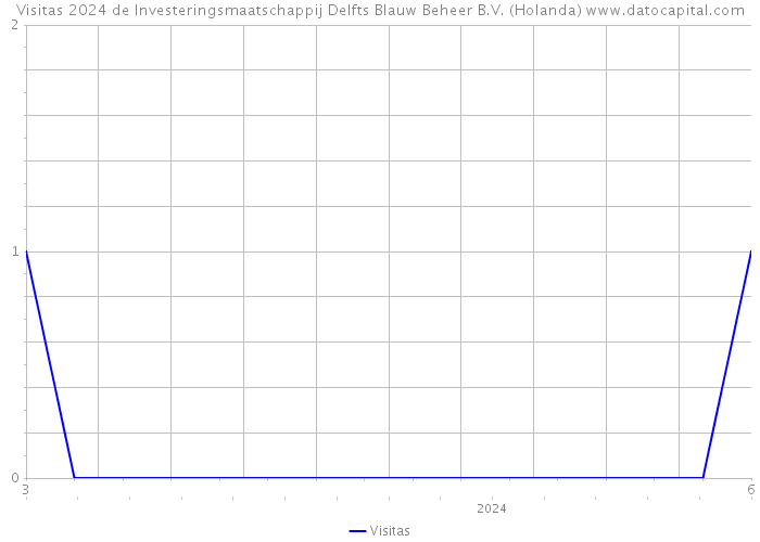 Visitas 2024 de Investeringsmaatschappij Delfts Blauw Beheer B.V. (Holanda) 
