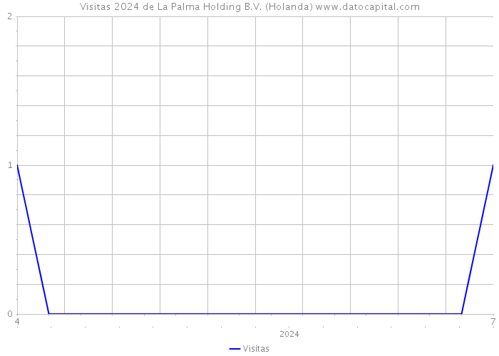 Visitas 2024 de La Palma Holding B.V. (Holanda) 