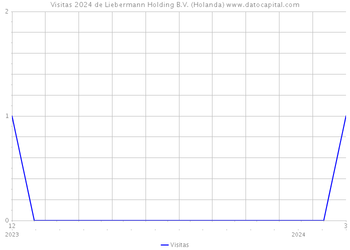 Visitas 2024 de Liebermann Holding B.V. (Holanda) 