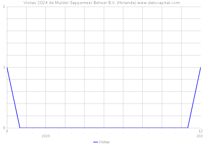 Visitas 2024 de Mulder Sappemeer Beheer B.V. (Holanda) 