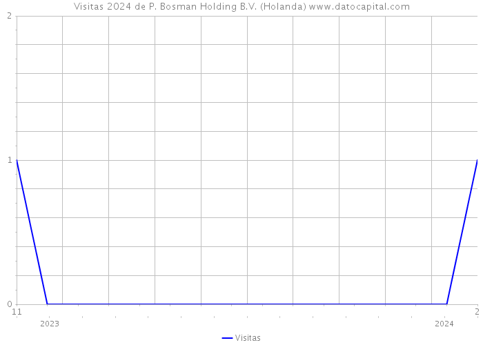 Visitas 2024 de P. Bosman Holding B.V. (Holanda) 